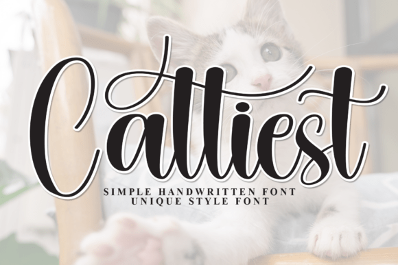 Cattiest: A Charming Handwritten Display Font for Marketers
