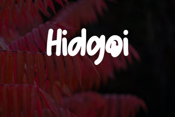 Discover Hidgoi: A Versatile Typeface for Modern Branding