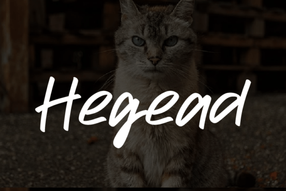 Enhance Your Brand with Hegead: A Versatile Typeface