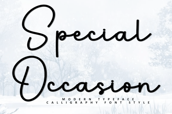 Special Occasion: A Versatile and Eye-Catching Font